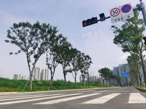 成都市各地项目建设热火朝天的进行中